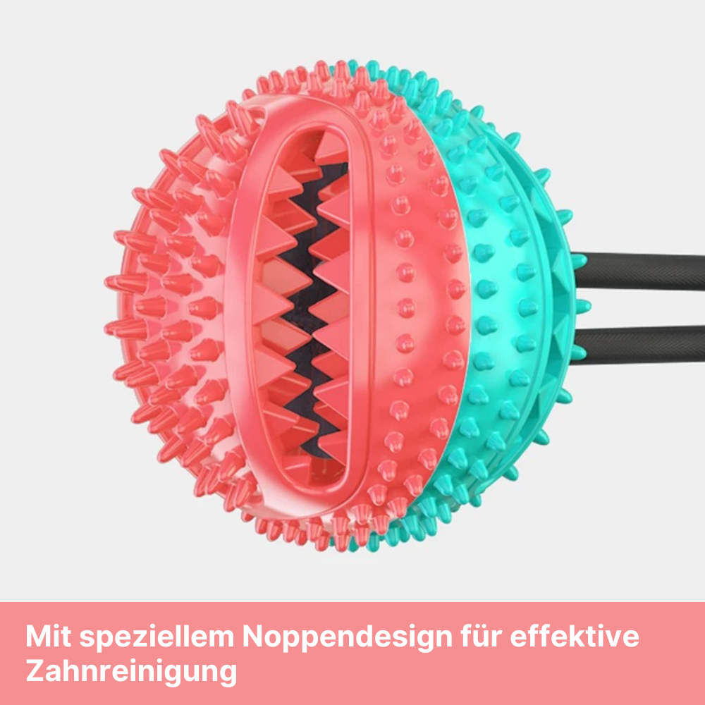 Intelligenzspielzeug für Hunde mit Saugnapf - für geistige und körperliche Fitness