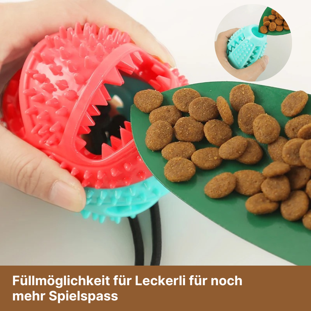 Intelligenzspielzeug für Hunde mit Saugnapf - für geistige und körperliche Fitness