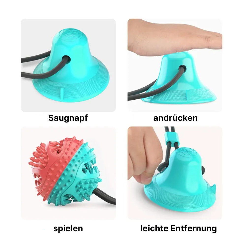Intelligenzspielzeug für Hunde mit Saugnapf - für geistige und körperliche Fitness