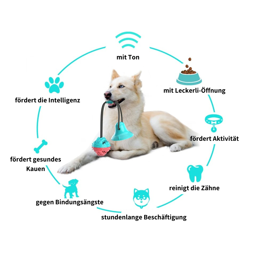 Intelligenzspielzeug für Hunde mit Saugnapf - für geistige und körperliche Fitness
