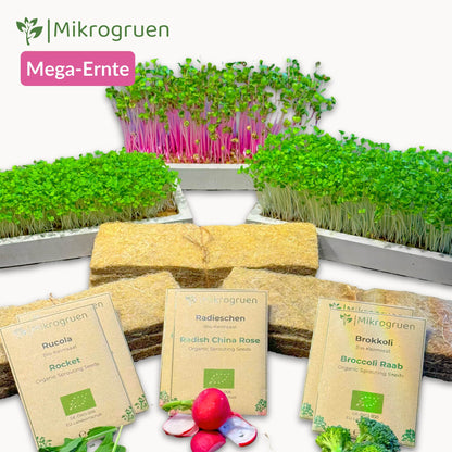Microgreens Maxi-Set
