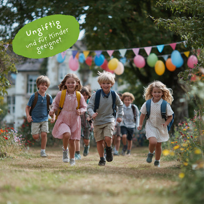 5 Blumenmurmeln im Tütchen zur Einschulung "Du bist 1. Klasse"