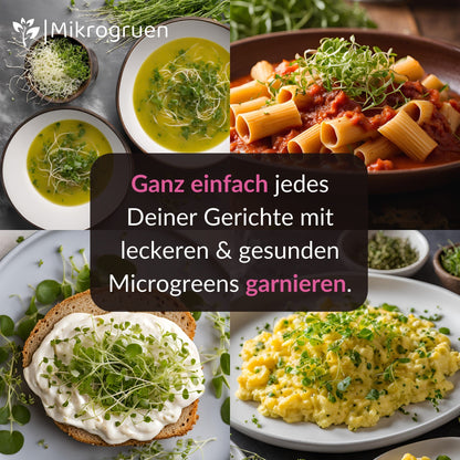 Microgreens Nachfüllset