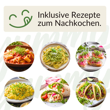 Microgreens Maxi-Set