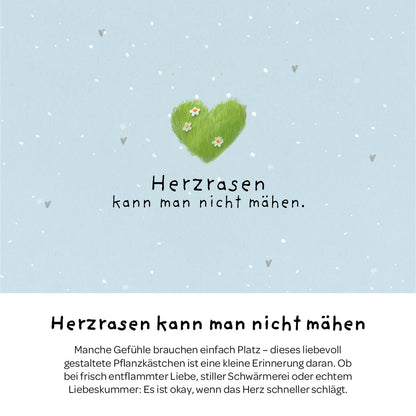 Pflanzkästchen - Herzrasen