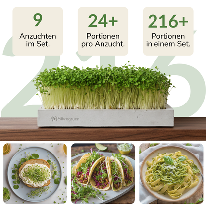 Microgreens Starter-Set