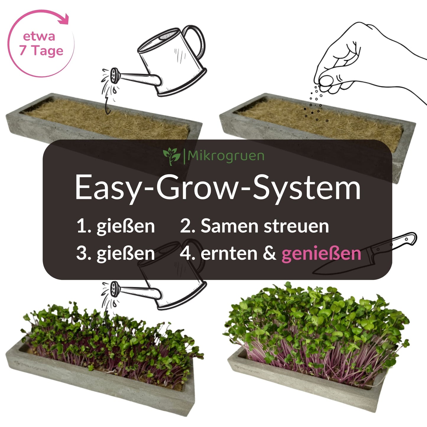 Microgreens Nachfüllset