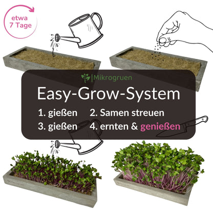 Microgreens Nachfüllset
