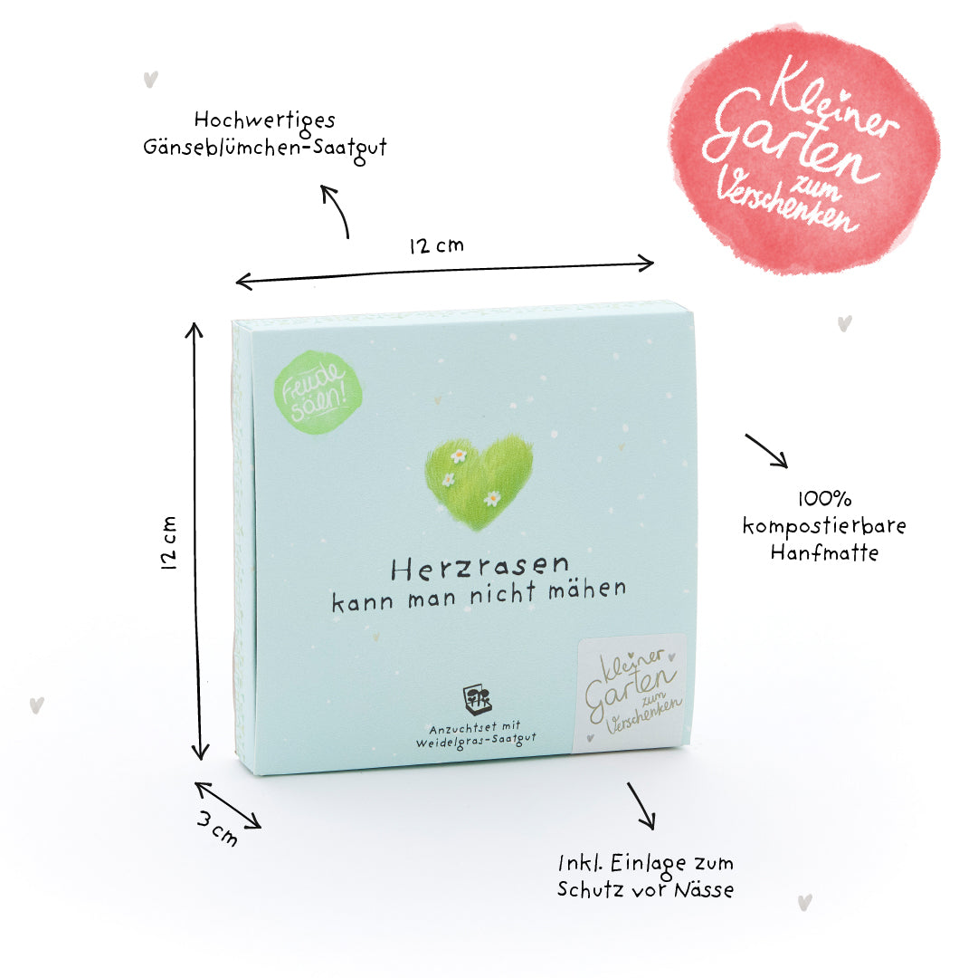 Pflanzkästchen - Herzrasen