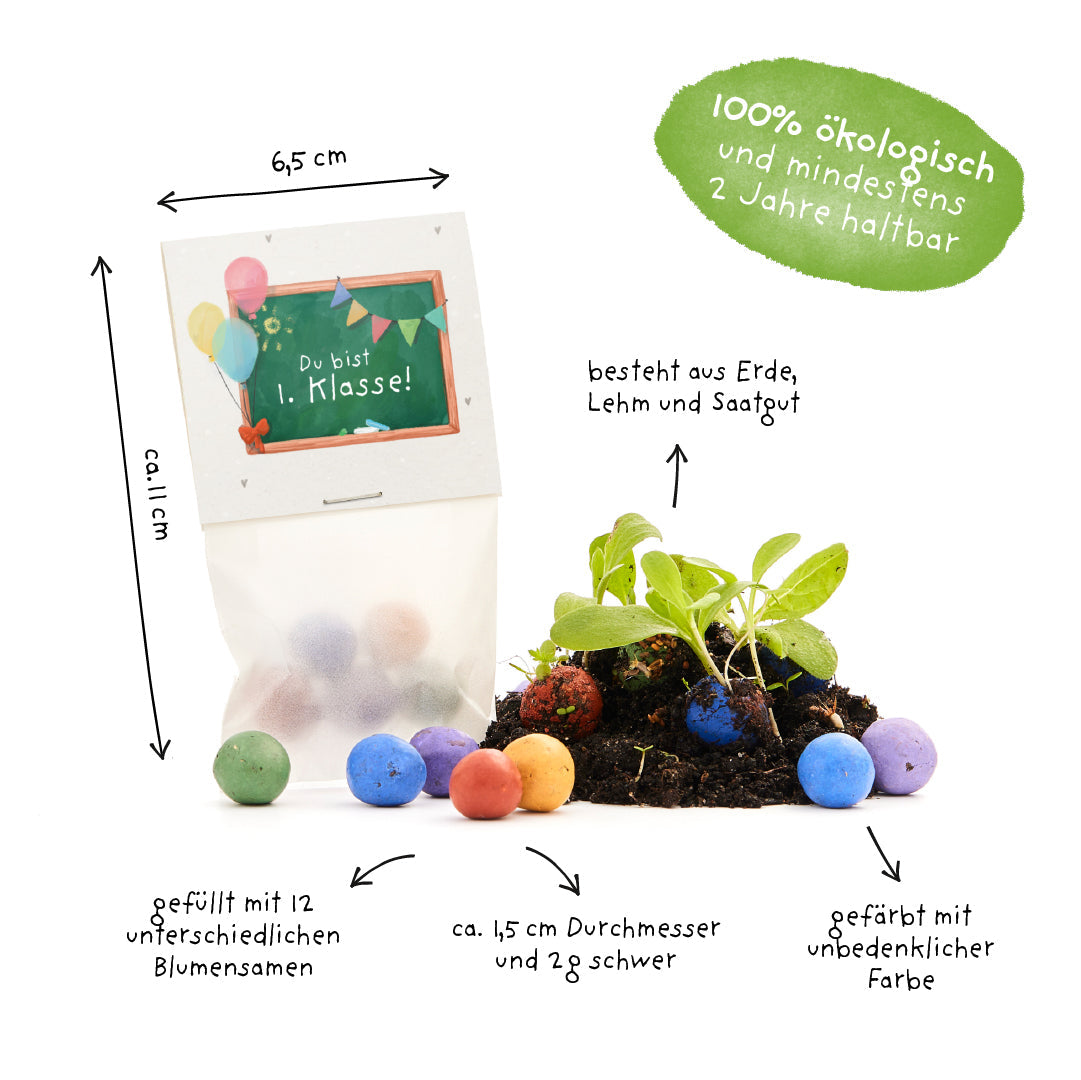 5 Blumenmurmeln im Tütchen zur Einschulung "Du bist 1. Klasse"