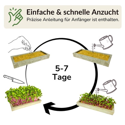 Microgreens Maxi-Set