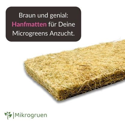 Microgreens Nachfüllset