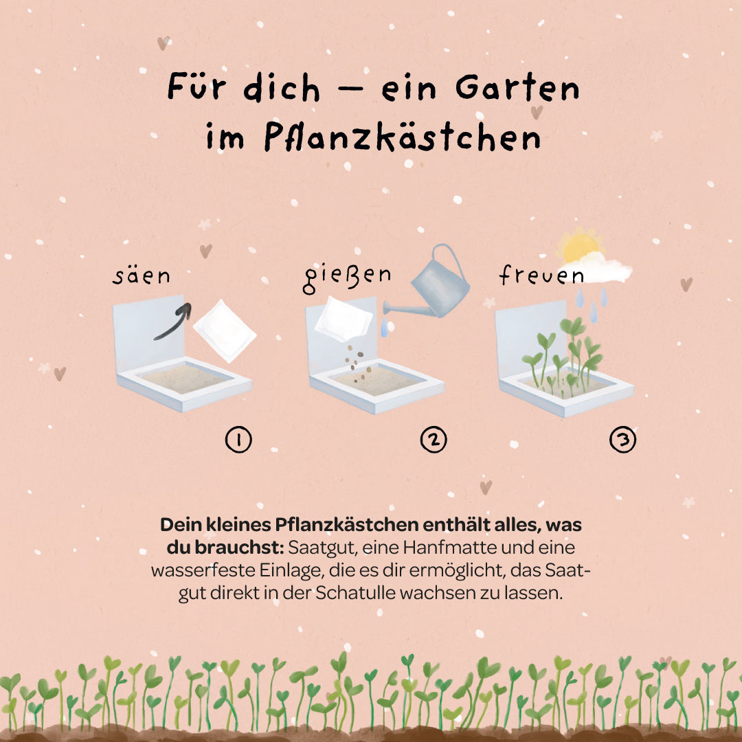 Pflanzkästchen - HDGDL - Hab dich ganz doll lieb