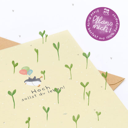 Grußkarte - Hoch sollst du leben!