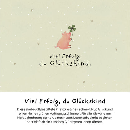 Pflanzkästchen - Viel Erfolg du Glückskind