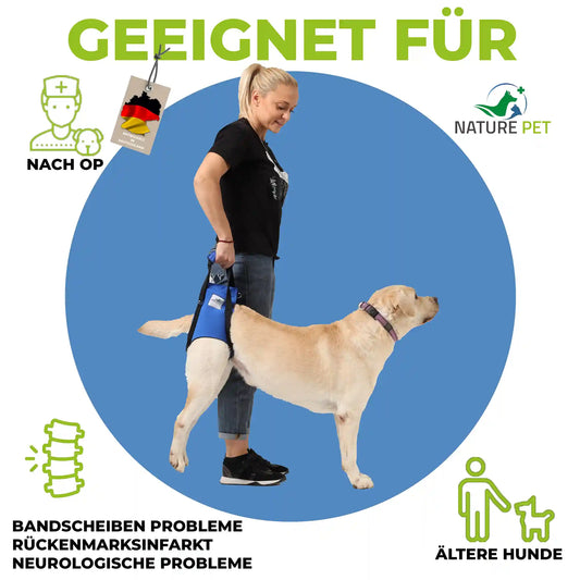 Hunde Tragehilfe hinten