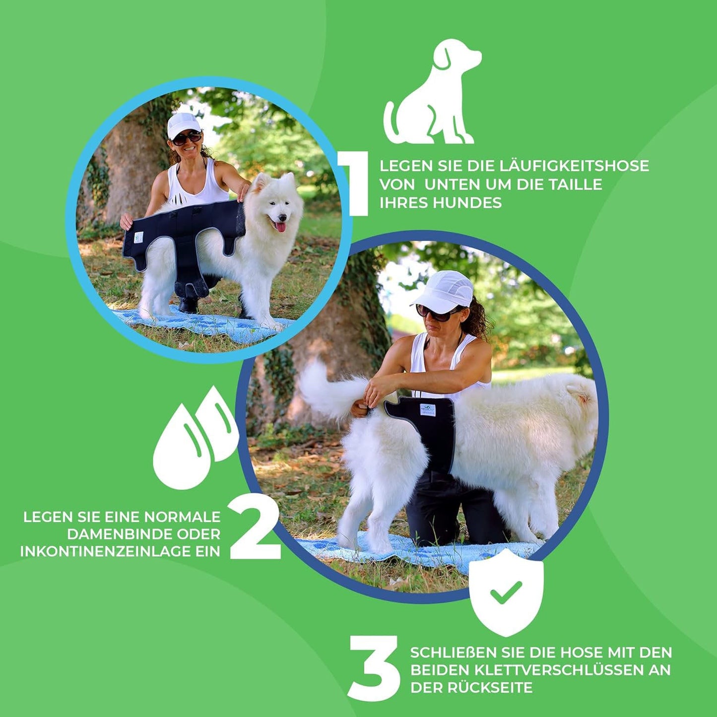 Läufigkeitshose für Hündinnen