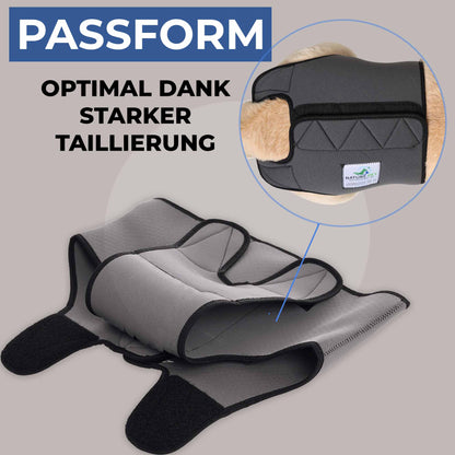 Läufigkeitshose für Hündinnen