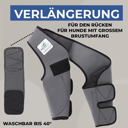 Liegeschwielen Bandage für Hunde