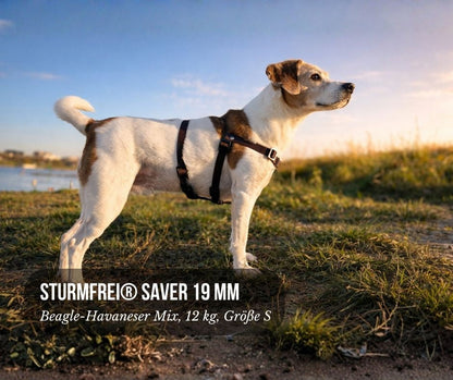 Anti-Stress-Geschirr STURMFREI® Saver für kleine bis mittlere Hunde
