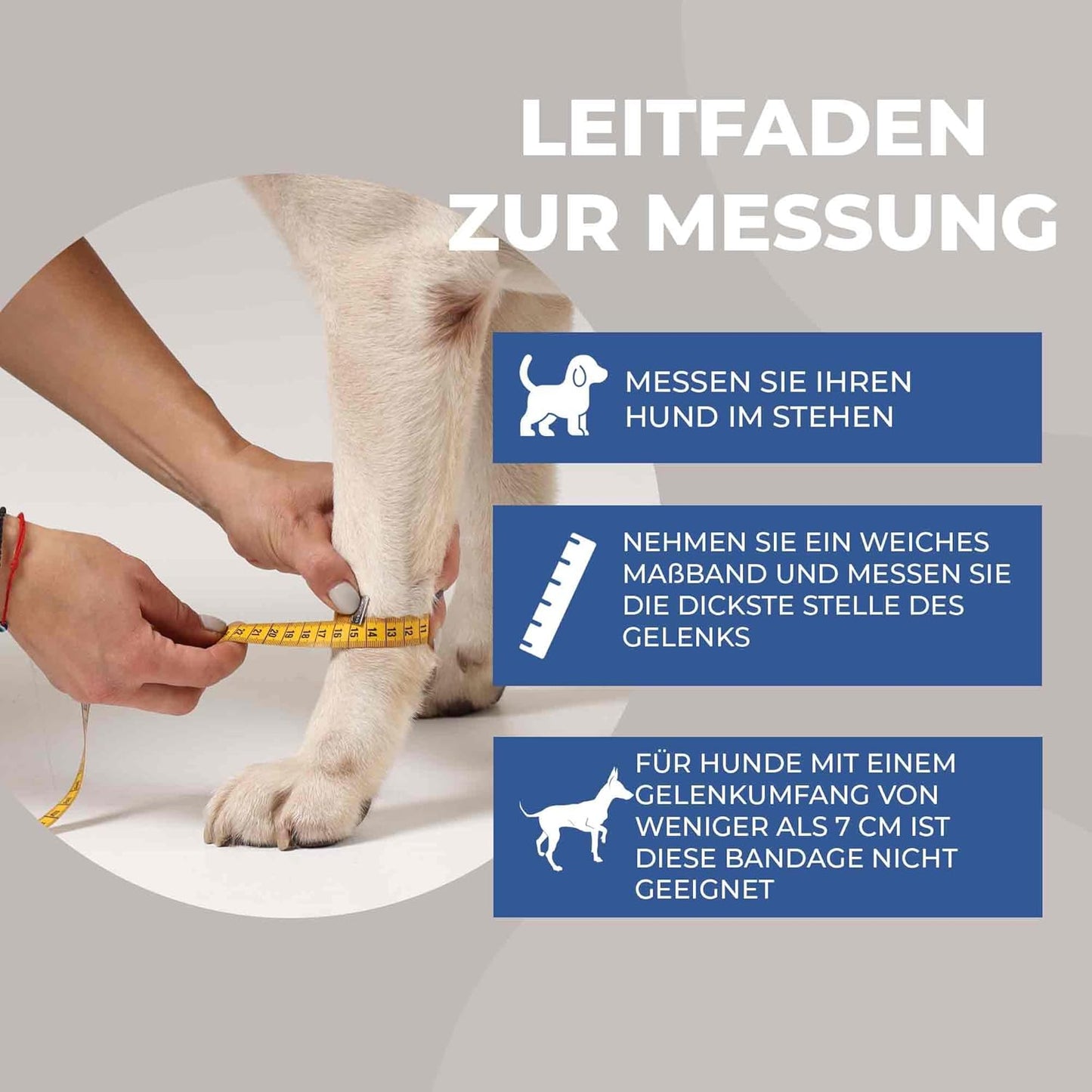 Medium Handgelenksbandage für Hunde
