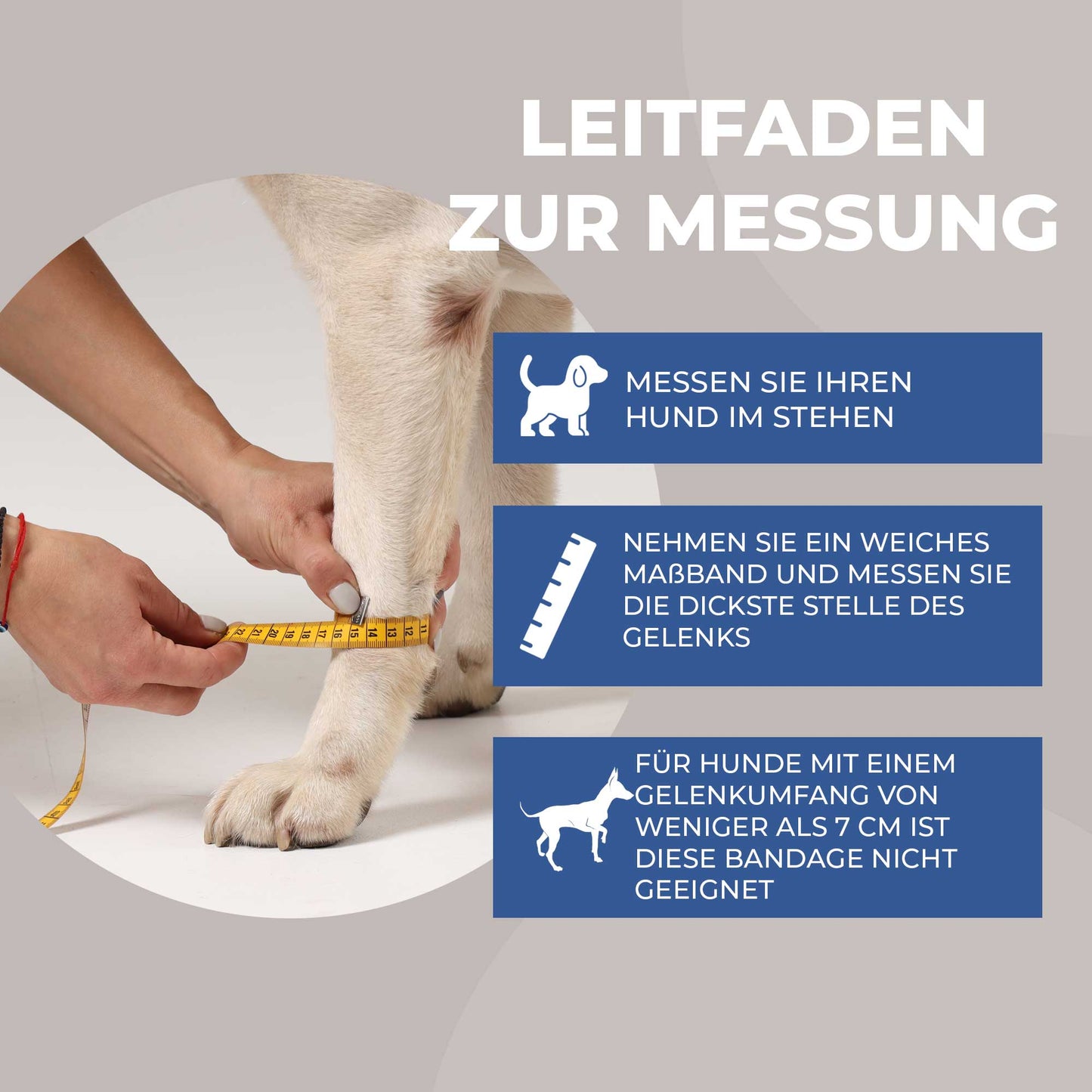 Sport Bandage für Hunde
