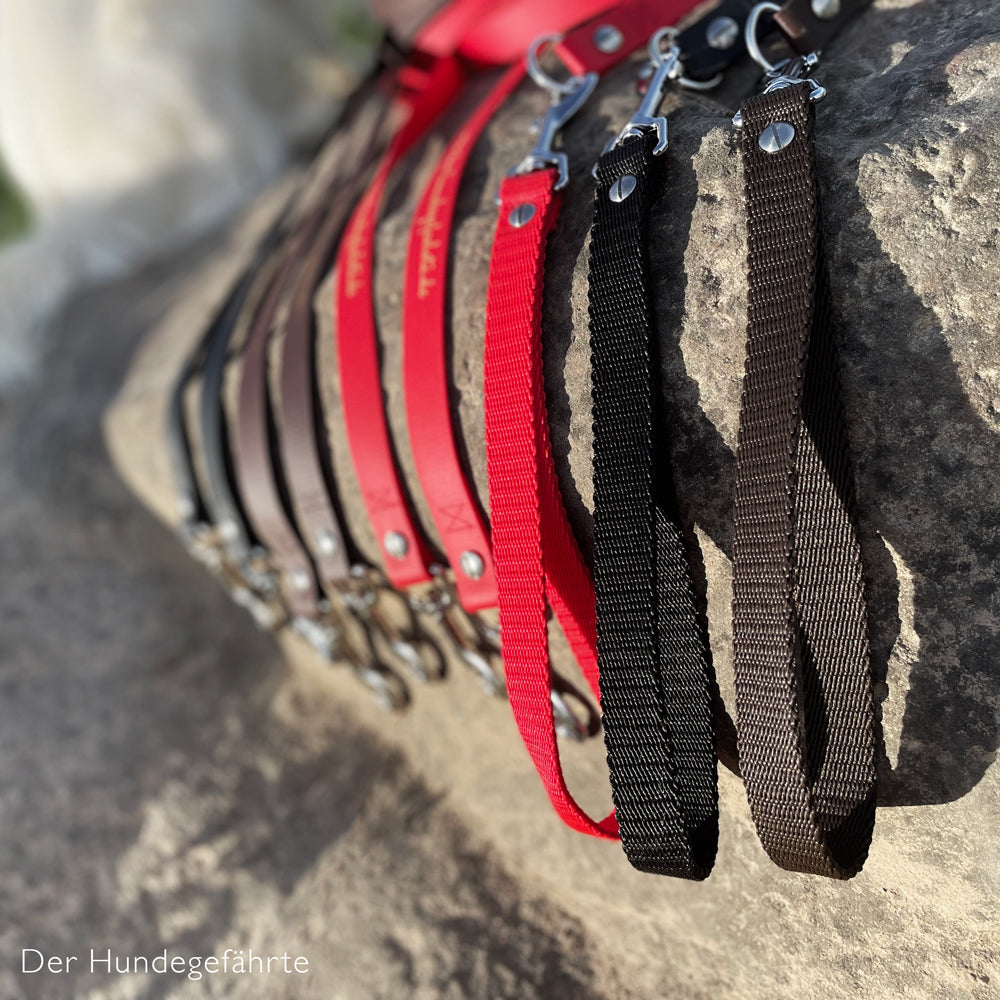 Doppel-Schleppleine FERNWEH aus BioThane®/POP - Band