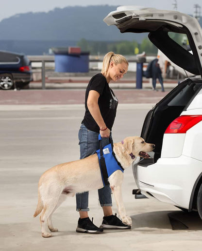 Vordere Tragehilfe für Hunde
