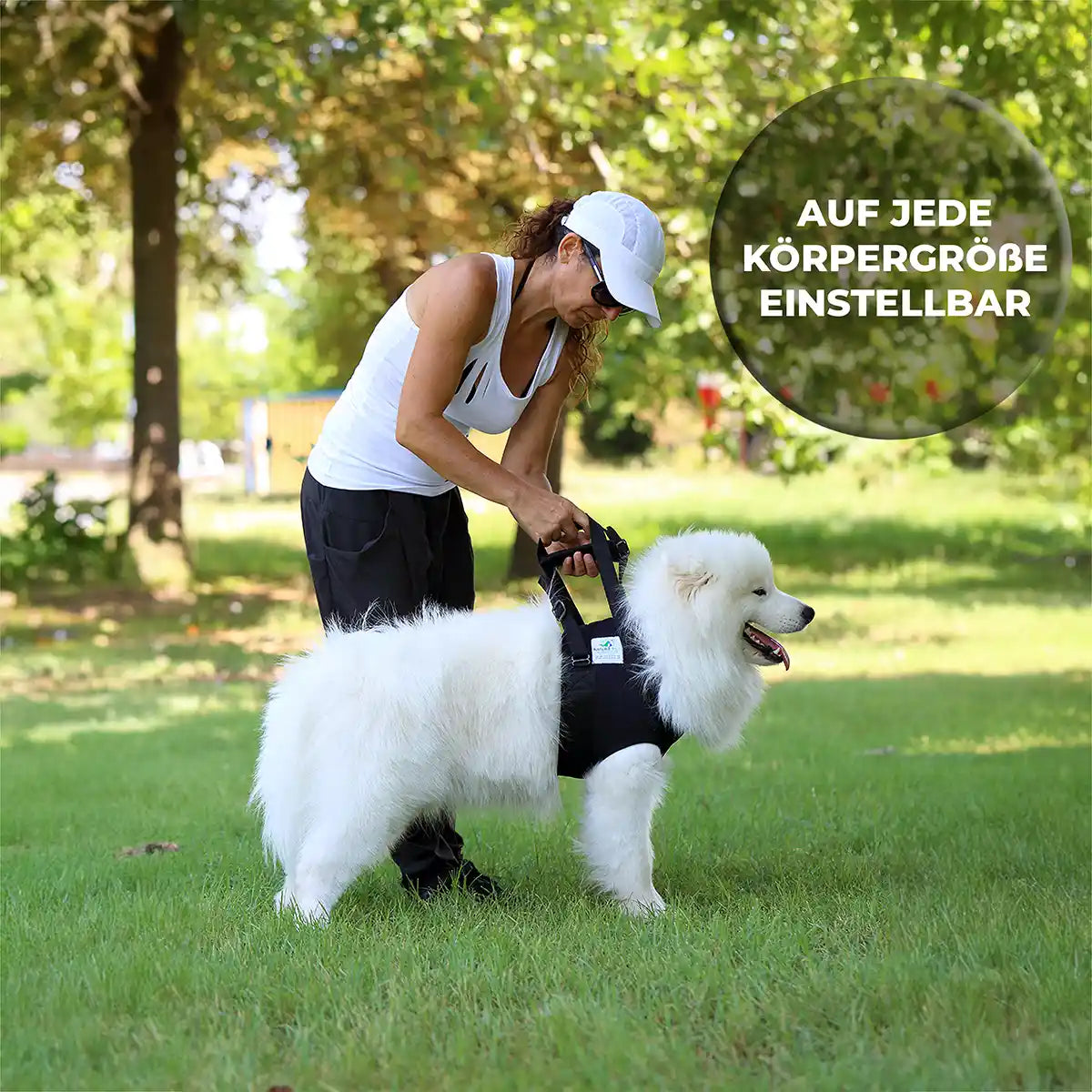 Vordere Tragehilfe für Hunde