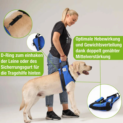 Vordere Tragehilfe für Hunde