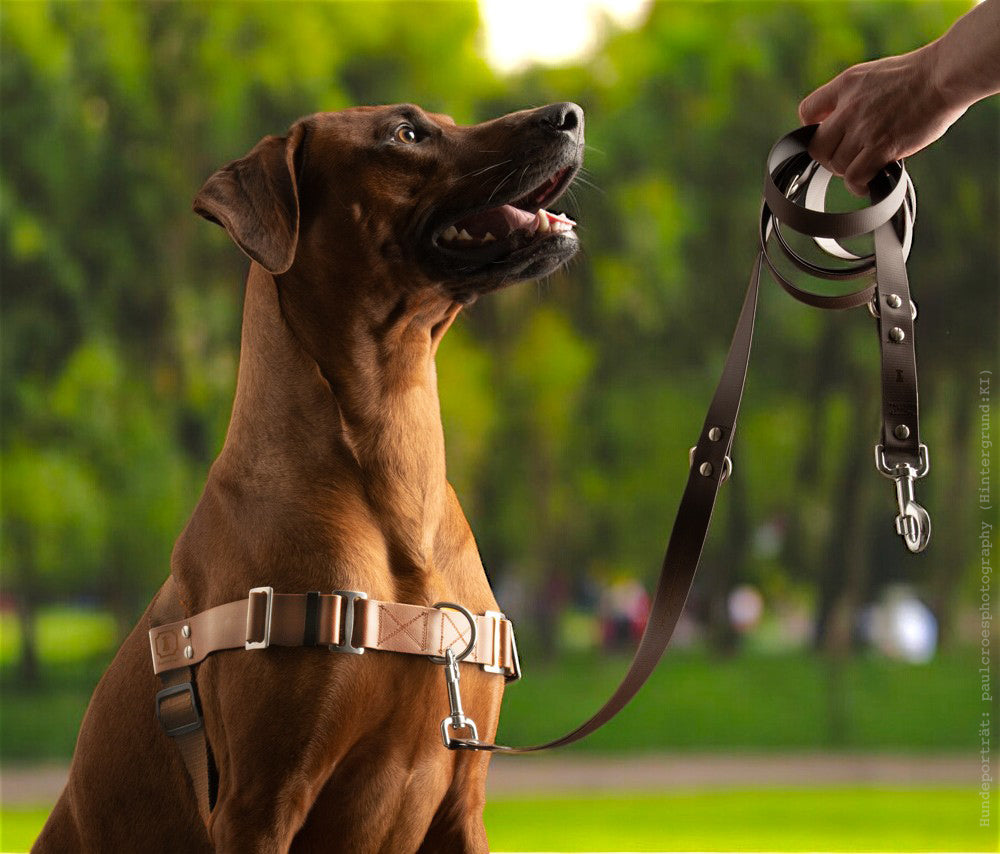 Anti-Stress-Geschirr STURMFREI®, Größe M