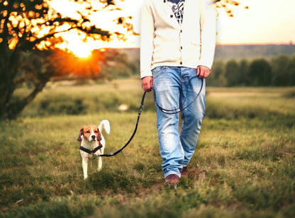 Anti-Stress-Geschirr STURMFREI® Saver für sehr kleine Hunde