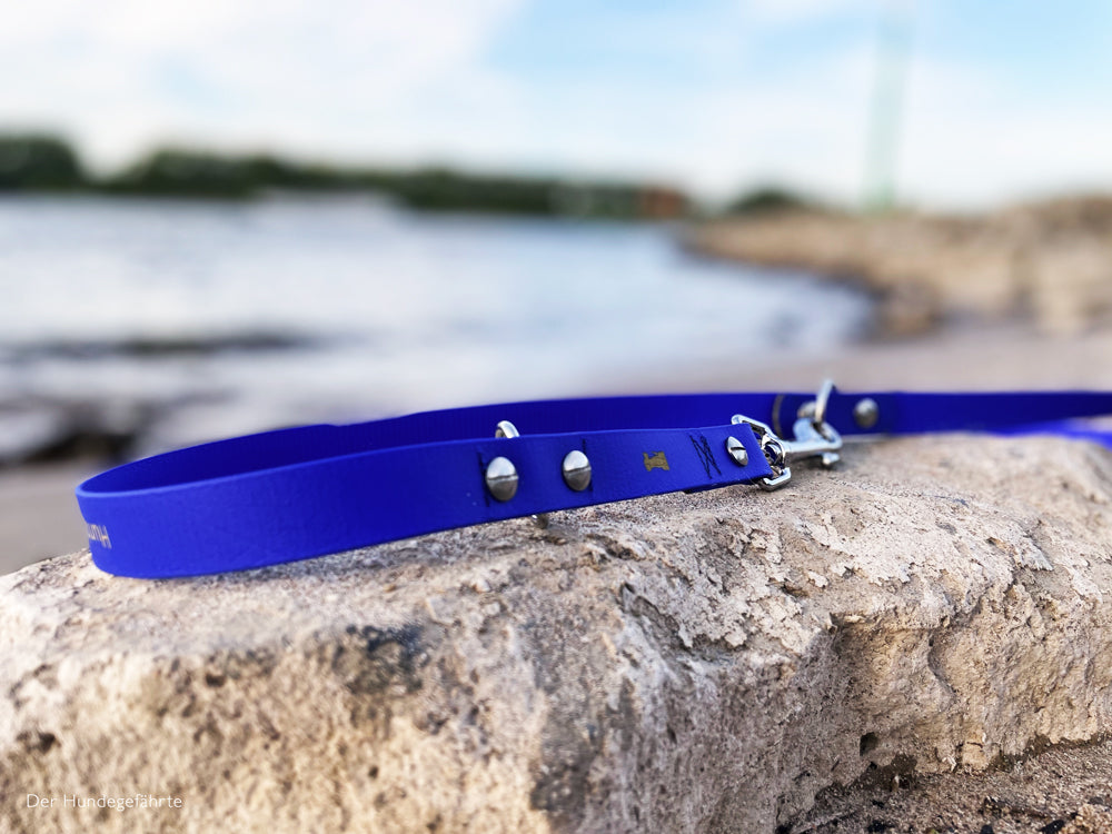 Hundeleine RATZFATZ aus BioThane®/POP - Band
