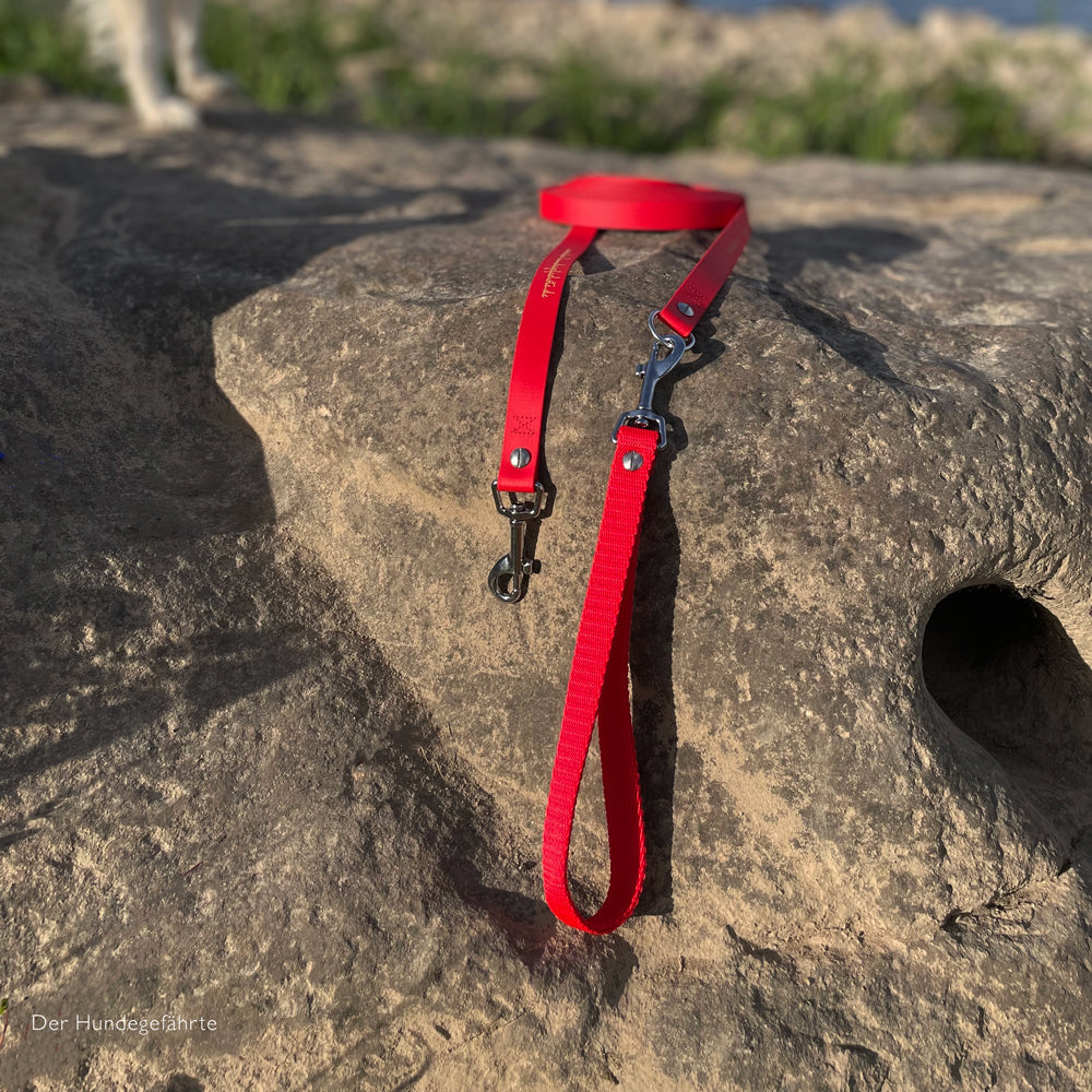 Doppel-Schleppleine FERNWEH aus BioThane®/POP - Band