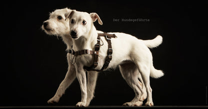 Anti-Stress-Geschirr STURMFREI®, Größe XXS