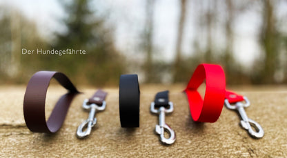 Hundeleine UM'S ECK (1,50 m) aus BioThane®/POP - Band