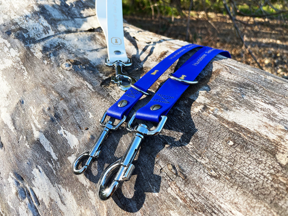 Doppelleine TECHTELMECHTEL aus BioThane®/Pop - Band