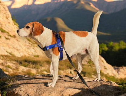 Anti-Stress-Geschirr STURMFREI®, Größe S für Kraftprotze