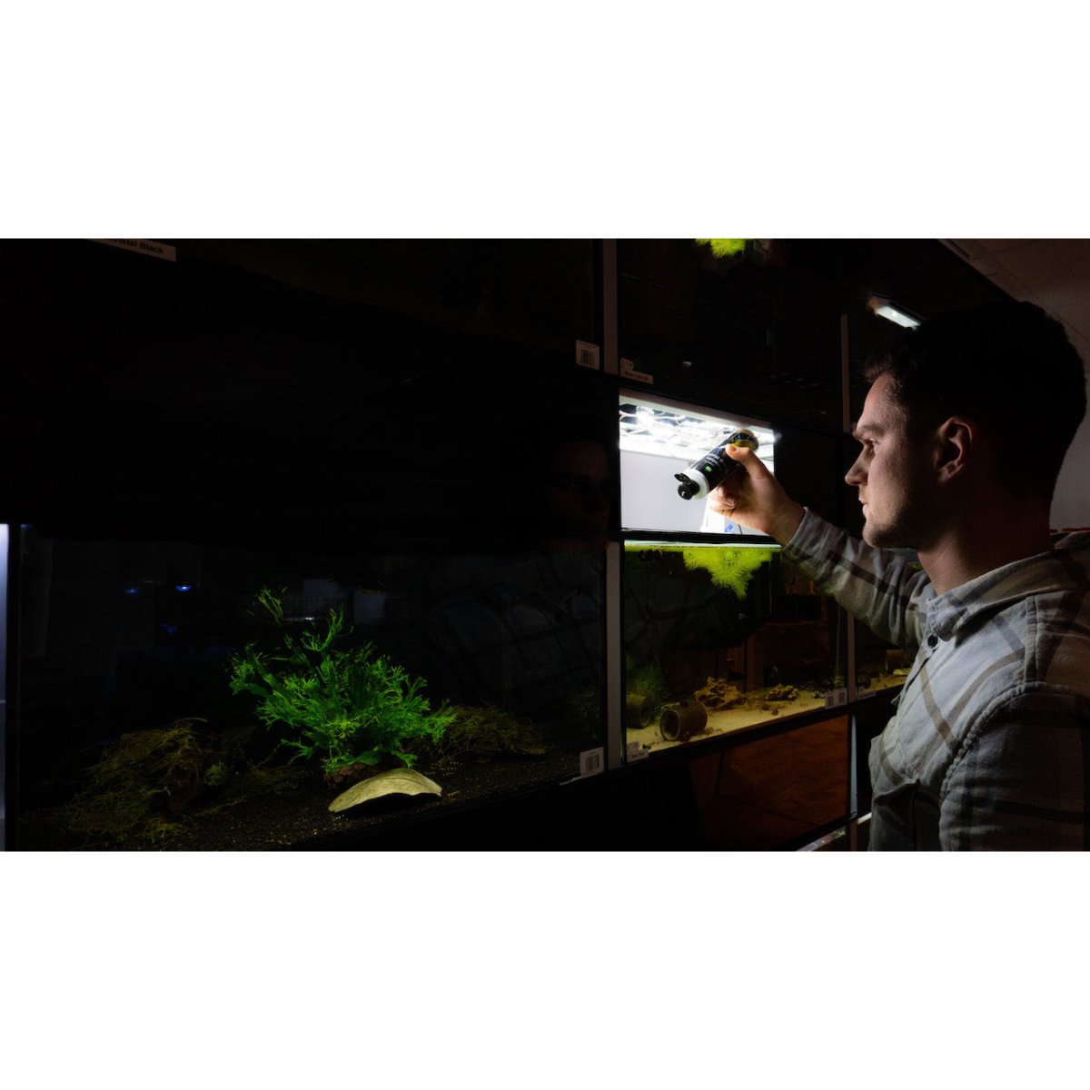 Premium Shrimp Humin 250 ml | Huminstoffe für Zwerggarnelen | Made in Germany