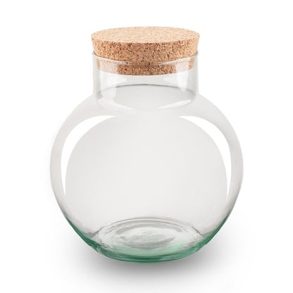 Terrarium Flasche – Geschlossene Glasflasche mit Korken – Höhe 20cm Ø18,5cm – Pflanzenterrarium aus Recyclingglas – Dekoratives Mini-Ökosystem für Zuhause