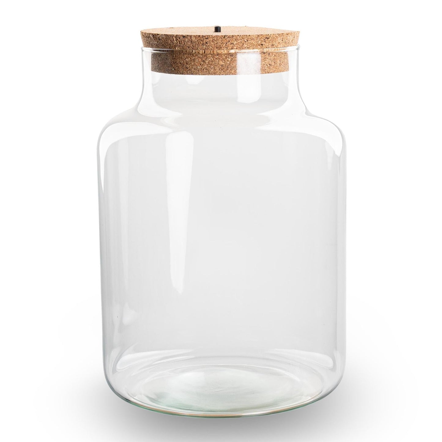 Terrarium Flasche – Geschlossene Glasflasche mit Korken & LED-Beleuchtung – Höhe 24,5cm Ø17cm – Dekoratives Pflanzenterrarium aus Recyclingglas