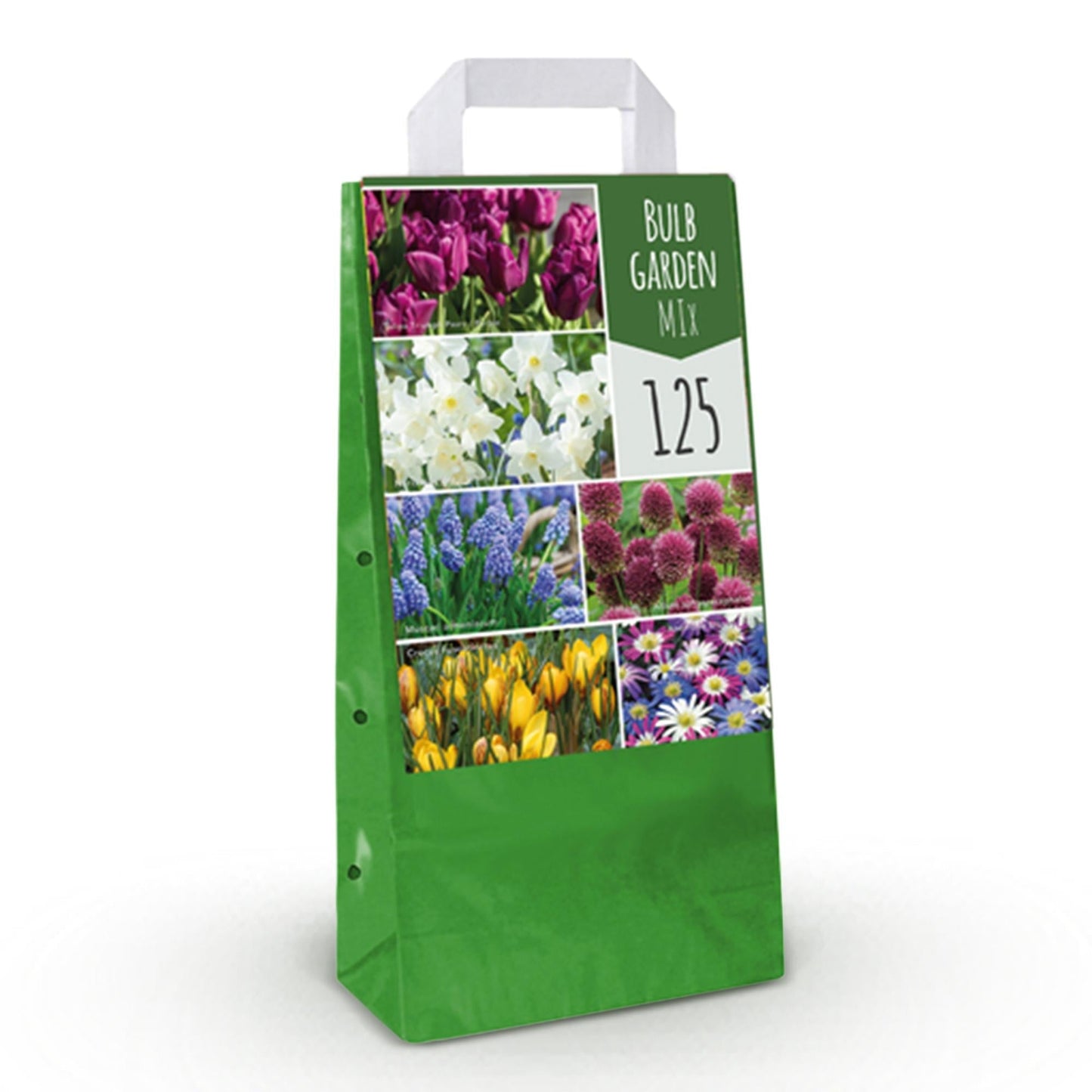 Blumenzwiebeln Bulb Garden Mix – 125 Blumenzwiebeln – Verschiedene Sorten & Farben – Blumenzwiebel Geschenkset in Geschenkverpackung – Für Beet, Balkon & Terrasse