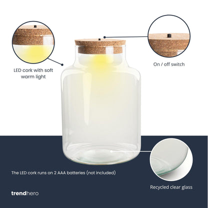 Terrarium Flasche – Geschlossene Glasflasche mit Korken & LED-Beleuchtung – Höhe 24,5cm Ø17cm – Dekoratives Pflanzenterrarium aus Recyclingglas