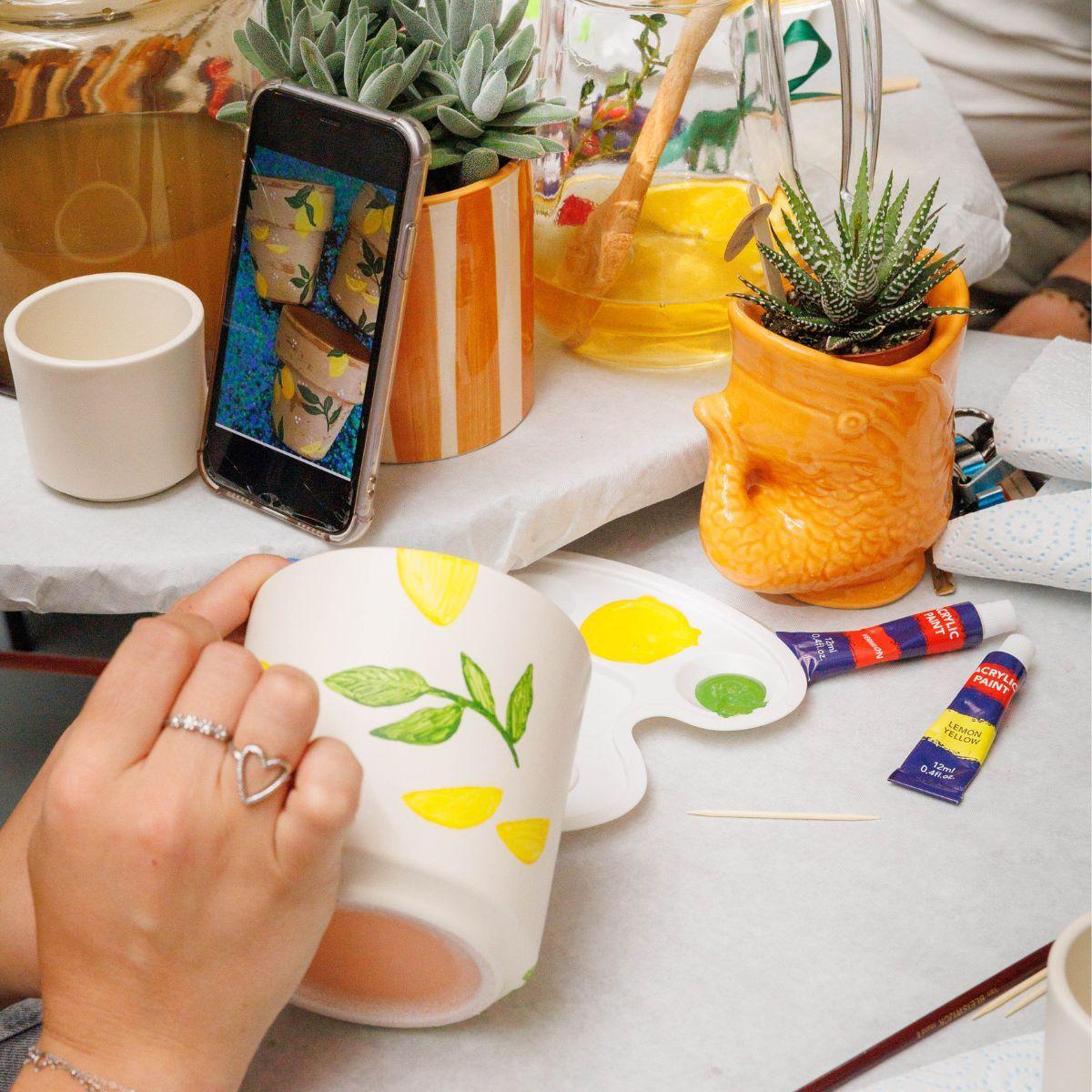 Malset Blumentöpfe bemalen – DIY Set für 4 Personen – inkl. 8 Blumentöpfe, 8 Sukkulenten, 24 Farben & Pinsel – Kreativ-Set von Kolibri Creatives – Perfekt für Kinder, Mädelsabende & Partys