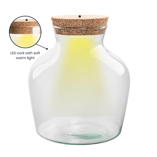 Flaschengarten – Terrarienflasche aus recyceltem Glas mit LED-Korken – Höhe 22cm Ø20cm – Dekoratives Glasgefäß mit Beleuchtung – Autarkes Pflanzenterrarium