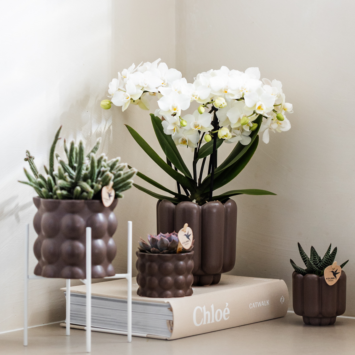 Retro Pflanztopf – Brown – Ø9cm – Dekorativer Übertopf aus Keramik – Blumentopf mit Rillenstruktur – Für Orchideen & Grünpflanzen