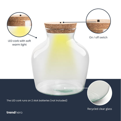 Flaschengarten – Terrarienflasche aus recyceltem Glas mit LED-Korken – Höhe 22cm Ø20cm – Dekoratives Glasgefäß mit Beleuchtung – Autarkes Pflanzenterrarium