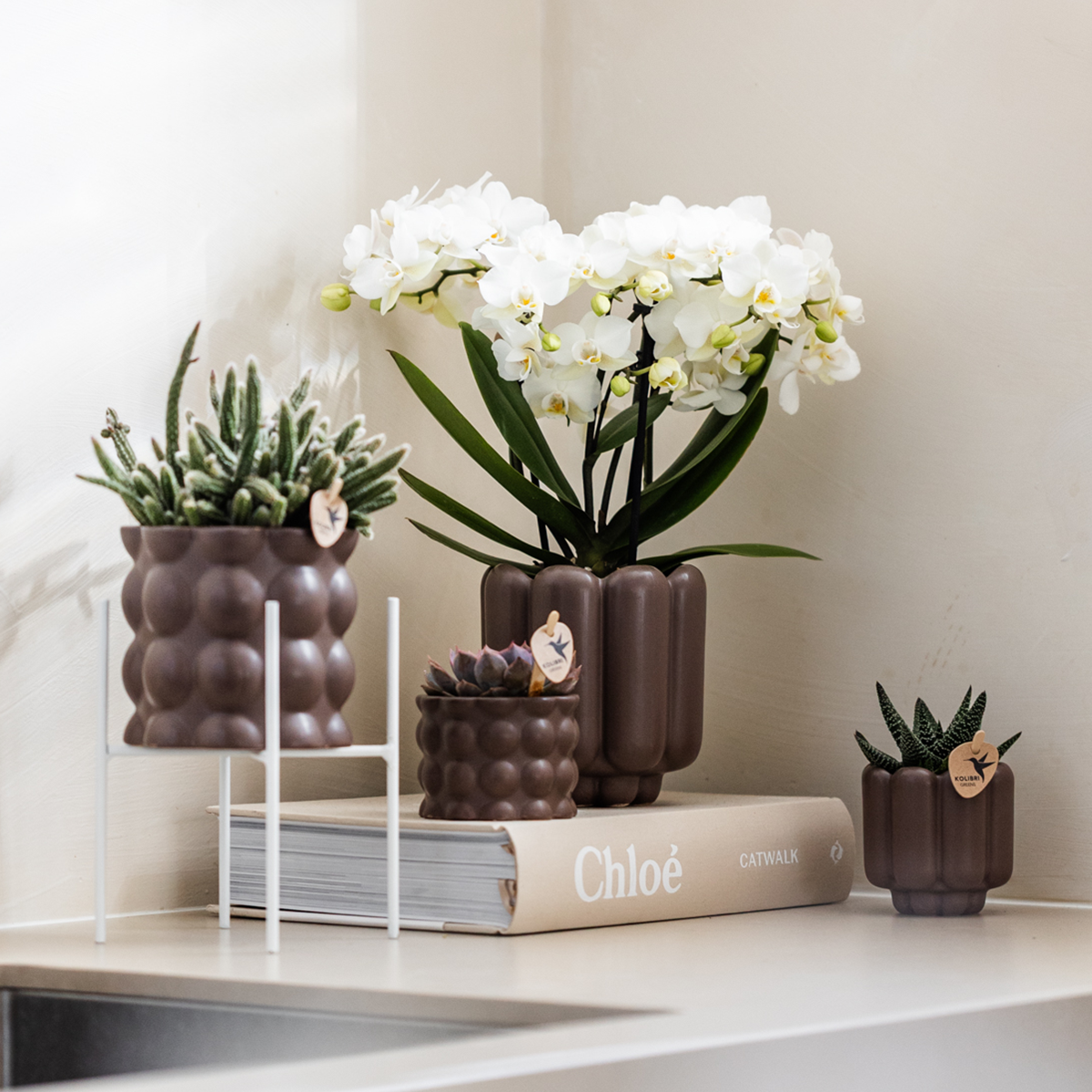 Retro Pflanztopf – Braun – Ø6cm – Dekorativer Mini-Übertopf aus Keramik – Blumentopf mit Rillenstruktur für Orchideen & Grünpflanzen