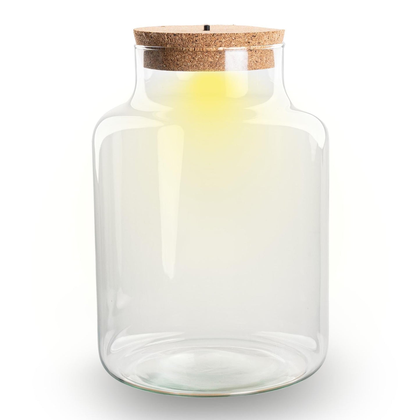 Terrarium Flasche – Geschlossene Glasflasche mit Korken & LED-Beleuchtung – Höhe 24,5cm Ø17cm – Dekoratives Pflanzenterrarium aus Recyclingglas