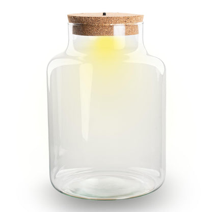 Terrarium Flasche – Geschlossene Glasflasche mit Korken & LED-Beleuchtung – Höhe 24,5cm Ø17cm – Dekoratives Pflanzenterrarium aus Recyclingglas